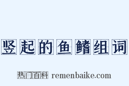 竖起的鱼鳍组词是什么意思的图片